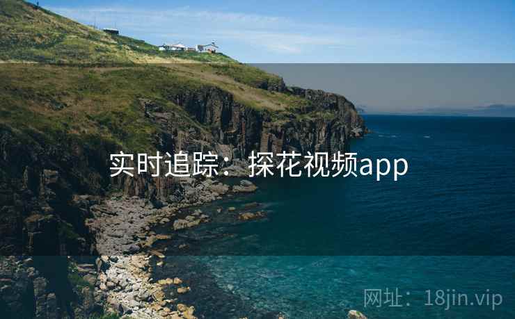 实时追踪：探花视频app